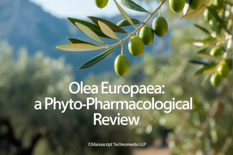 Olea europaea: A Phyto-Pharmacological Review