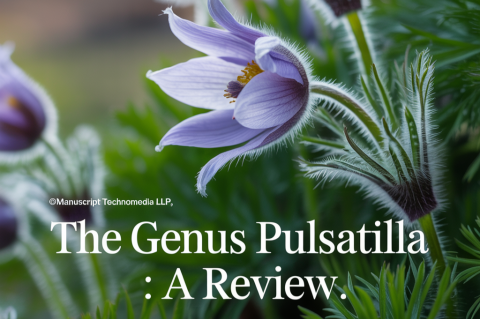 The Genus Pulsatilla : A Review