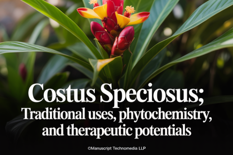 Costus speciosus: Traditional Uses, Phytochemistry, and Therapeutic Potentials