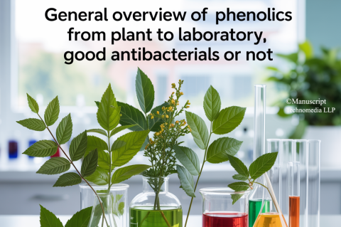 General Overview of Phenolics from Plant to Laboratory, Good Antibacterials or Not