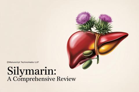 Silymarin: A Comprehensive Review