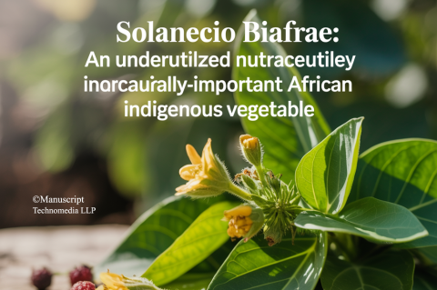 Solanecio biafrae: An Underutilized Nutraceutically-important African Indigenous Vegetable
