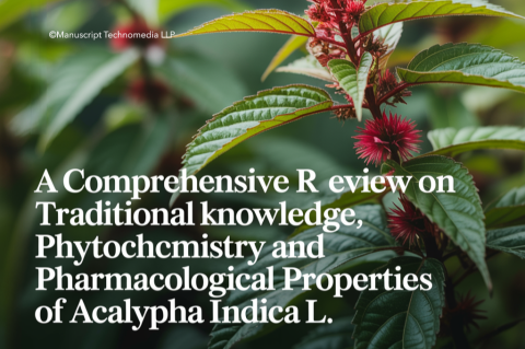 A Comprehensive Review on Traditional Knowledge, Phytochemistry and Pharmacological Properties of Acalypha indica L.