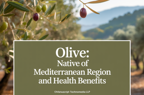 Olive: Native of Mediterranean Region and Health Benefits