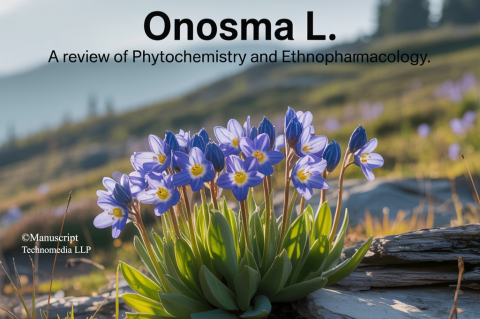 Onosma L.: A Review of Phytochemistry and Ethnopharmacology