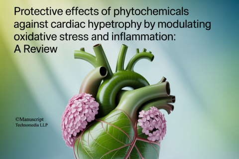 Protective Effects of Phytochemicals against Cardiac Hypertrophy by Modulating Oxidative Stress and Inflammation: A Review