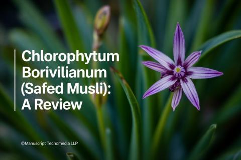 Chlorophytum borivilianum (Safed musli): A Review