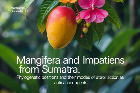 Mangifera and Impatiens from Sumatra: Phylogenetic Positions and their Modes of Action as Anticancer Agents