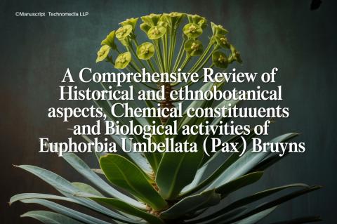 A Comprehensive Review of Historical and Ethnobotanical Aspects, Chemical Constituents and Biological Activities of Euphorbia umbellata (Pax) Bruyns