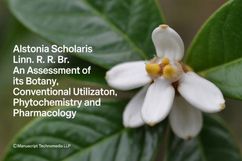 Alstonia scholaris Linn. R. Br.: An Assessment of its Botany, Conventional Utilizaton, Phytochemistry and Pharmacology