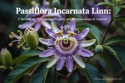 Passiflora Incarnata Linn: A Review on Morphology, Phytochemistry and Pharmacological Aspects