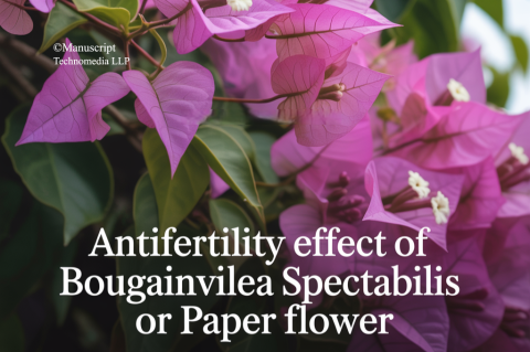 Antifertility Effect of Bougainvillea spectabilis or Paper Flower