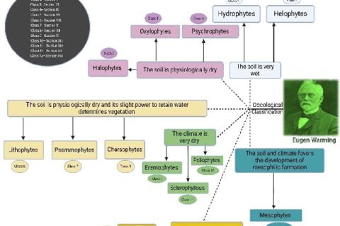 Overview of oecological/ecological classification.