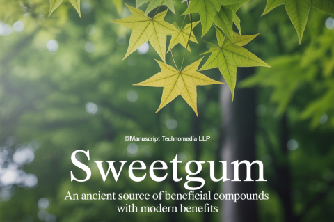 Sweetgum: An Ancient Source of Beneficial Compounds with Modern Benefits