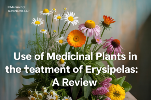 Use of Medicinal Plants in the Treatment of Erysipelas: A Review
