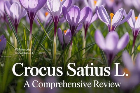 Crocus sativus L.: A Comprehensive Review