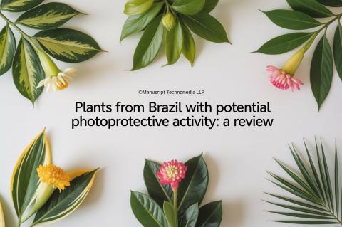 Plants from Brazil with Potential Photoprotective Activity: A Review