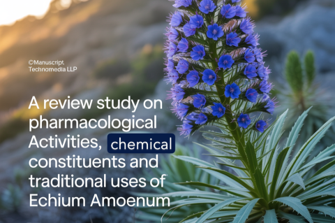 A Review Study on Pharmacological Activities, Chemical Constituents and Traditional Uses of Echium amoenum