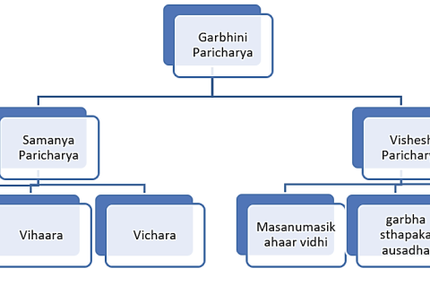 classification of paricharya.