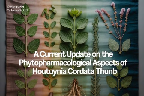 A Current Update on the Phytopharmacological Aspects of Houttuynia cordata Thunb