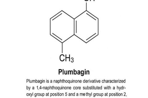 Chemical structure of Plumbagin.[9]