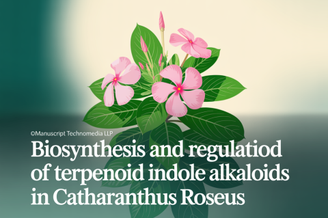 Biosynthesis and Regulation of Terpenoid Indole Alkaloids in Catharanthus roseus
