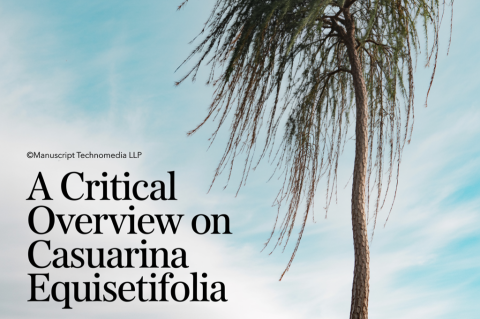 A Critical Overview on Casuarina equisetifolia