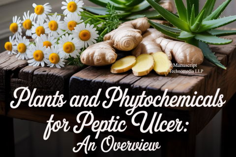 Plants and Phytochemicals for Peptic Ulcer: An Overview