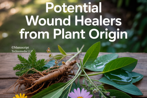 Potential Wound Healers from Plant Origin