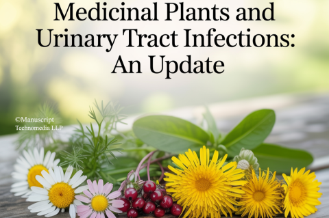 Medicinal Plants and Urinary Tract Infections: An update