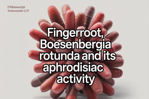 Fingerroot, Boesenbergia rotunda and its Aphrodisiac Activity