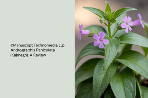 Andrographis paniculata (Kalmegh): A Review