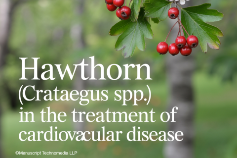 Hawthorn (Crataegus spp.) in the Treatment of Cardiovascular Disease