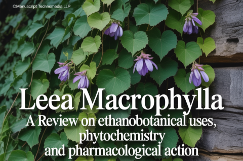 Leea macrophylla: A Review on Ethanobotanical Uses, Phytochemistry and Pharmacological Action