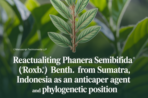Reactualiting Phanera semibifida (Roxb.) Benth. from Sumatra, Indonesia as an Anticancer Agent and Phylogenetic Position