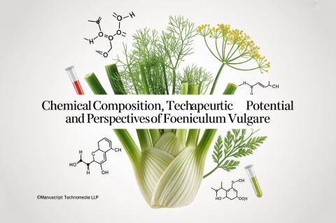 Chemical Composition, Therapeutic Potential and Perspectives of Foeniculum vulgare