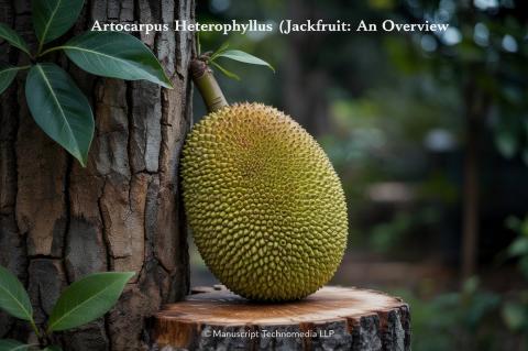 Artocarpus heterophyllus (Jackfruit): An Overview