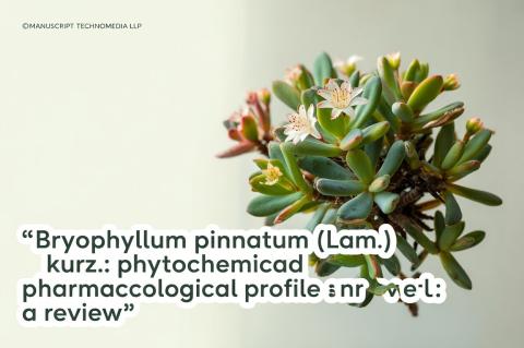 Bryophyllum pinnatum (Lam.) Kurz.: Phytochemical and Pharmacological Profile : A Review