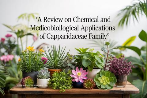 A Review on Chemical and Medicobiological Applications of Capparidaceae Family