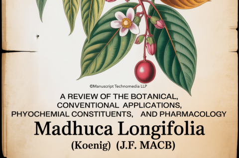 A Review of the Botanical, Conventional Applications, Phytochemical Constituents, and Pharmacology of Madhuca longifolia (Koenig) J.F. Macb