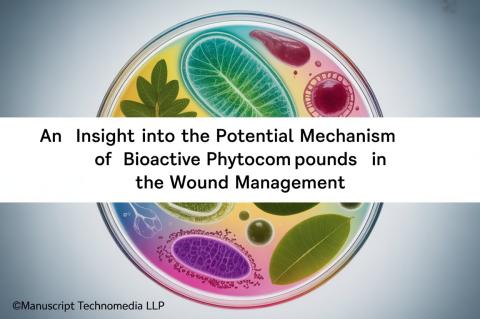 An Insight into the Potential Mechanism of Bioactive Phytocompounds in the Wound Management
