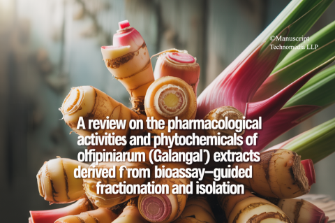 A Review on the Pharmacological Activities and Phytochemicals of Alpinia officinarum (Galangal) Extracts Derived from Bioassay-guided Fractionation and Isolation