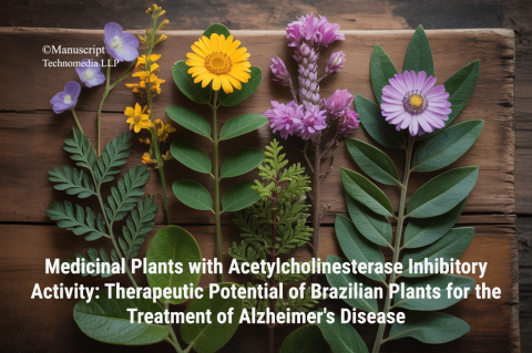Medicinal Plants with Acetylcholinesterase Inhibitory Activity: Therapeutic Potential of Brazilian Plants for the Treatment of Alzheimer's Disease