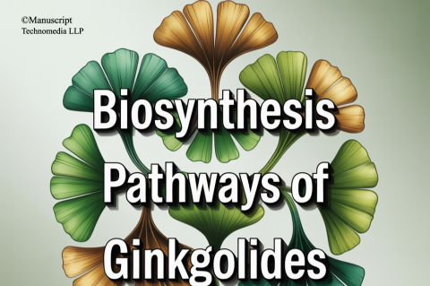 Biosynthesis Pathways of Ginkgolides
