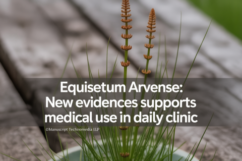 Equisetum arvense: New Evidences Supports Medical use in Daily Clinic