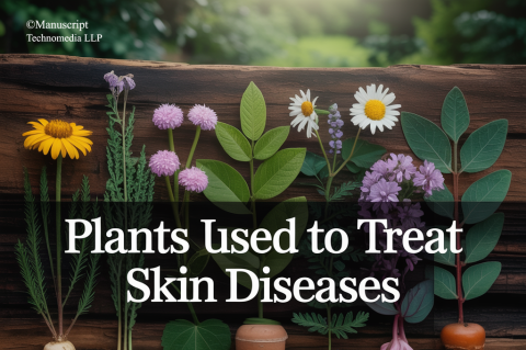 Plants used to Treat Skin Diseases