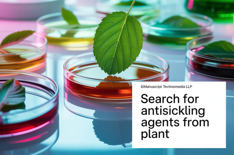 Search for Antisickling agents from Plant
