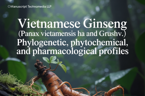 Vietnamese Ginseng (Panax vietnamensis Ha and Grushv.): Phylogenetic, Phytochemical, and Pharmacological Profiles