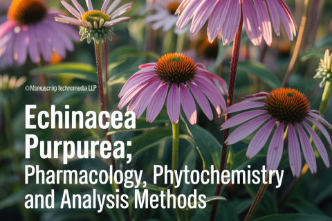 Echinacea purpurea: Pharmacology, Phytochemistry and Analysis Methods