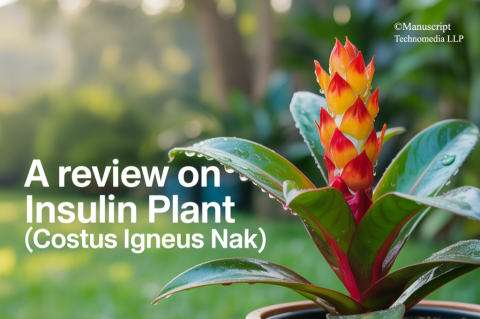 A Review on Insulin Plant (Costus igneus Nak)